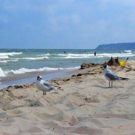 Fewo Strandperle-Fam.Kunkel ゼリン エクステリア 写真